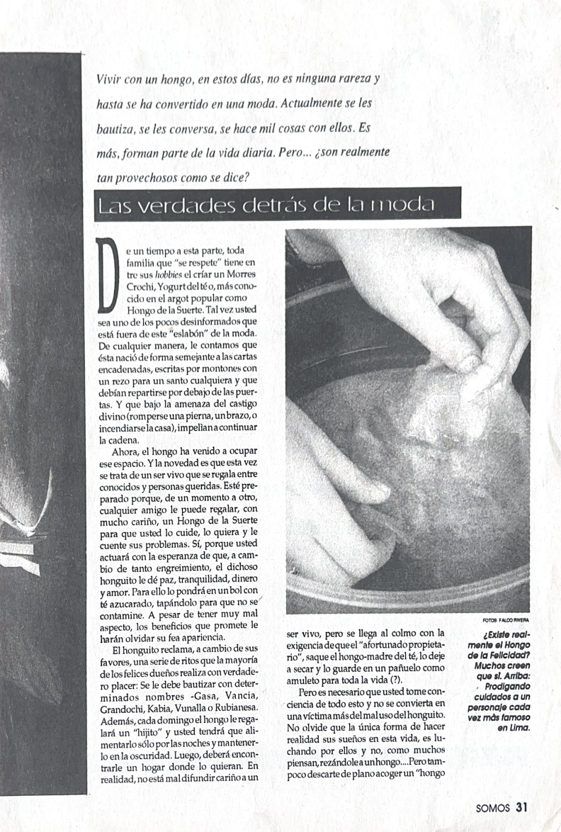 Revista Somos - Tradición del té fermentado